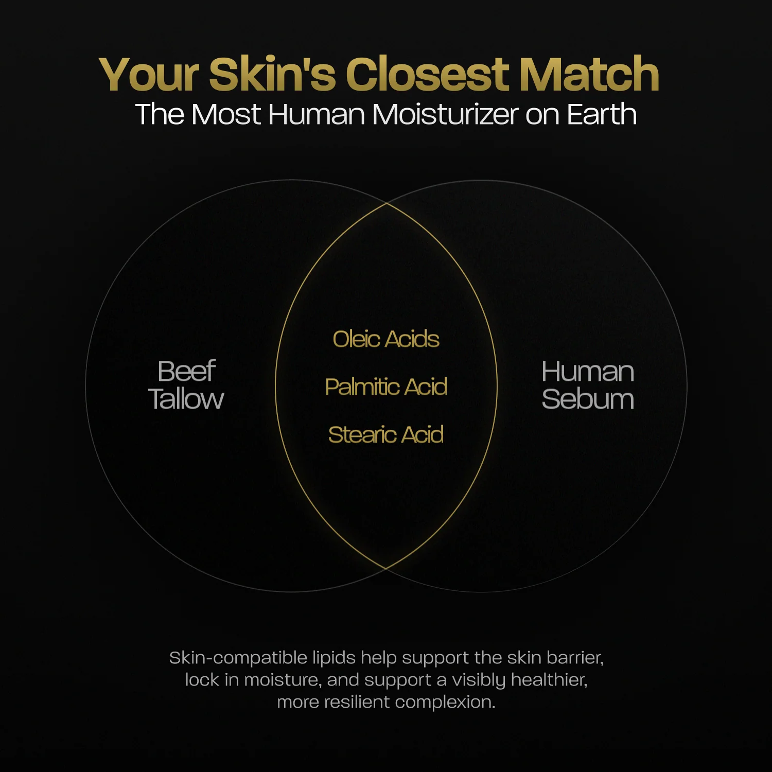 Tallow Moisturizer - Image 5